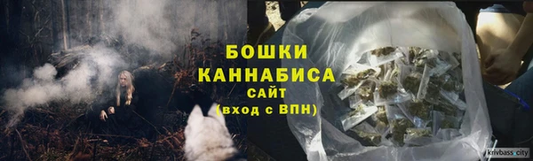 ГАЛЛЮЦИНОГЕННЫЕ ГРИБЫ Алексин