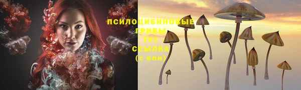 героин Алзамай