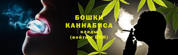 PSILOCYBIN Алексеевка