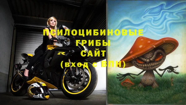 ГАЛЛЮЦИНОГЕННЫЕ ГРИБЫ Алексин