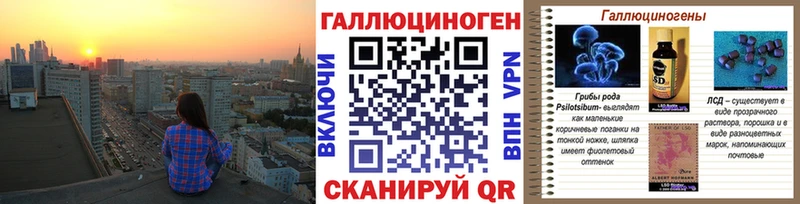 mega как войти  что такое наркотик  Махачкала  Галлюциногенные грибы Cubensis 
